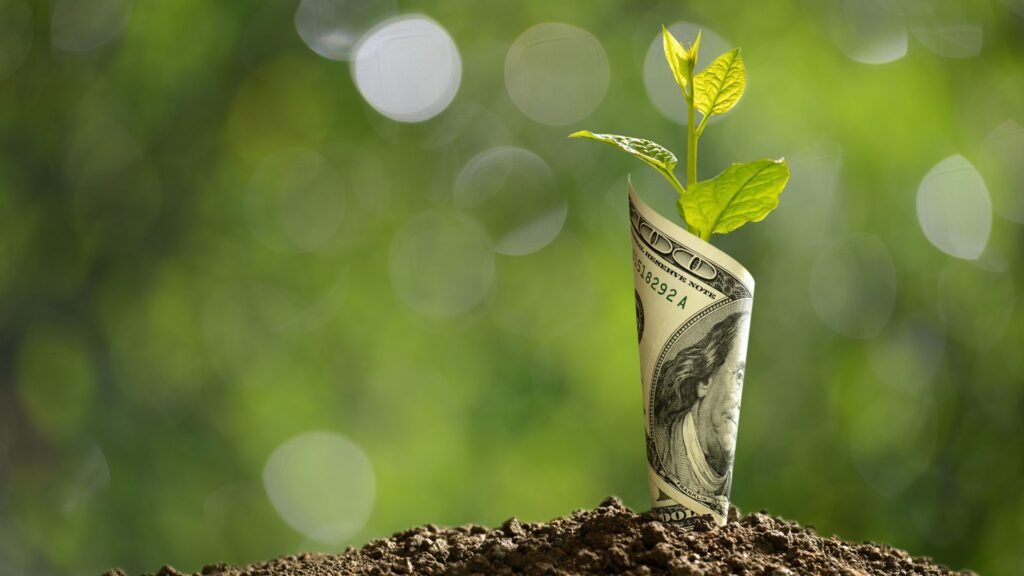 Dollar bill sprouts out of soil like a plant | Monetization and Pricing Strategies